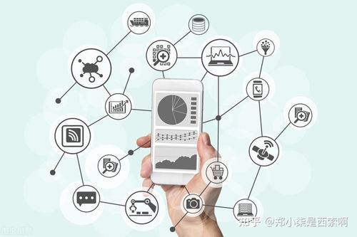 數據分析師與算法工程師 建模能力、差異與協同之道在人工智能應用開發中的融合